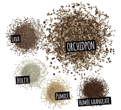 LECHUZA PON | ORCHIDPON Plant Substrate