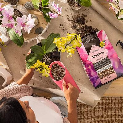 LECHUZA PON | ORCHIDPON Plant Substrate