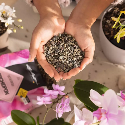 LECHUZA PON | ORCHIDPON Plant Substrate