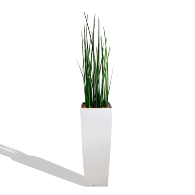 AFRICAN SPEAR | Ms. Dora Milaje | ALTOS40 Premium