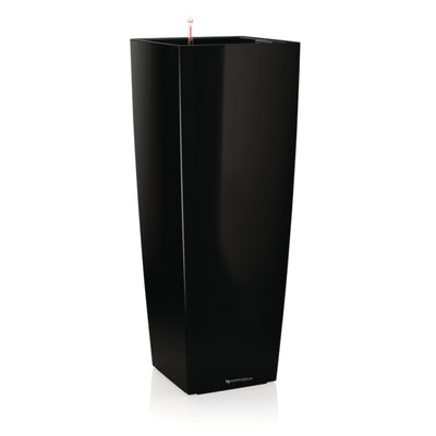 SANSEVIERIA | Dr. Angie Merkel ALTOS 40 Premium