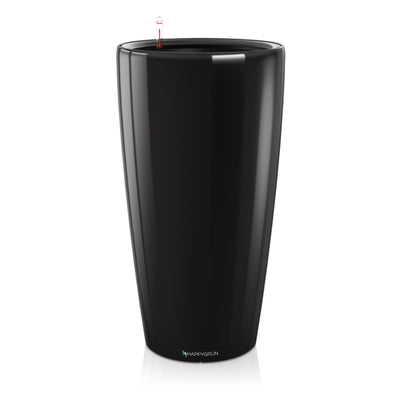 S-SHAPE BONSAI | Dr. Suzuki | RONDO 40 Premium