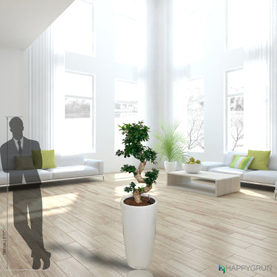 S-SHAPE BONSAI | Dr. Suzuki | RONDO 40 Premium