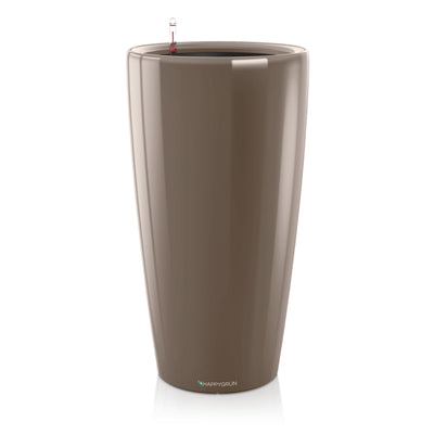 S-SHAPE BONSAI | Dr. Suzuki | RONDO 40 Premium