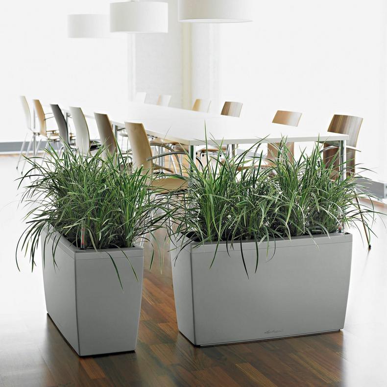Large Planters