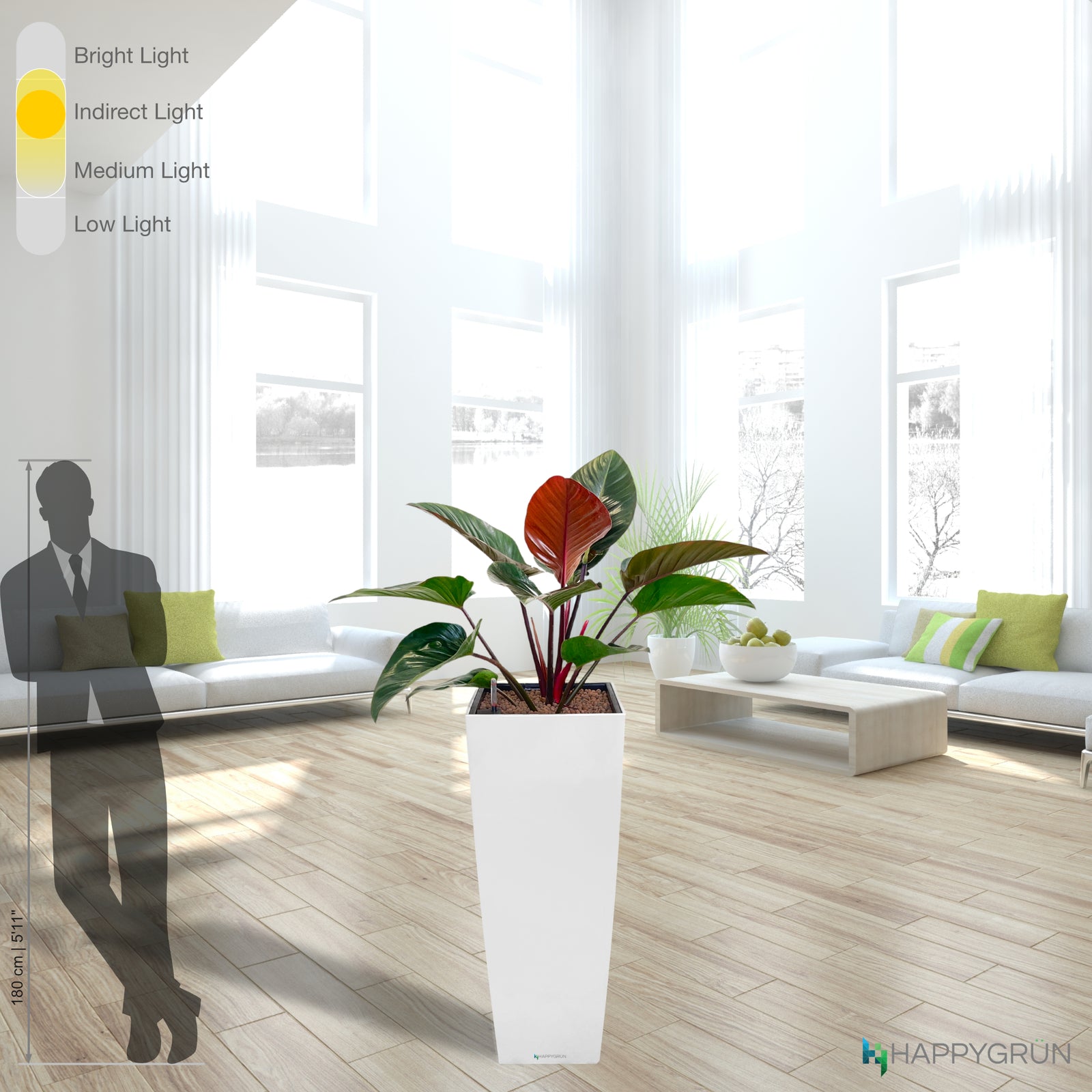 IMPERIAL RED PHILODENDRON | Queen Victoria | ALTOS 40 Premium