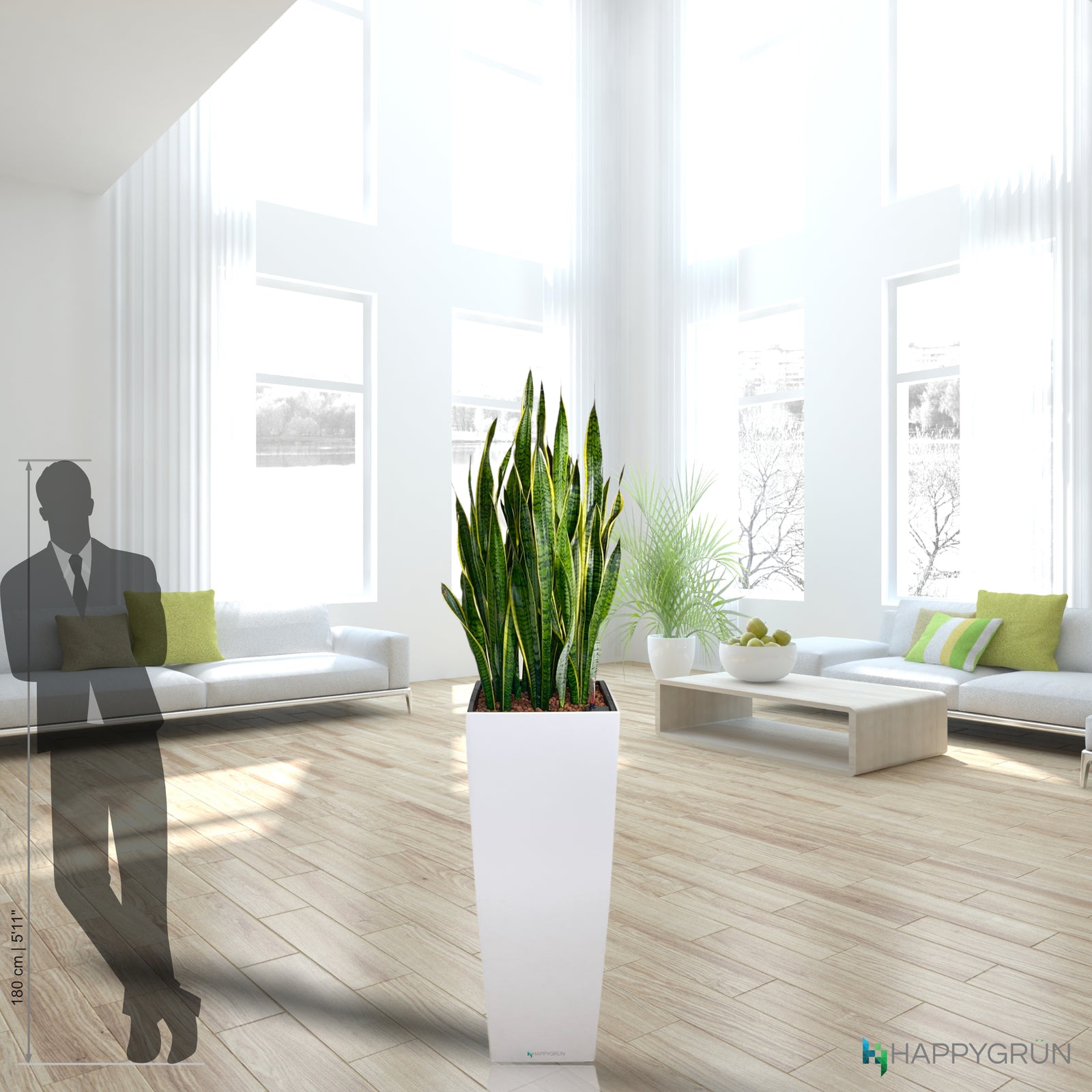 SANSEVIERIA | Dr. Angie Merkel ALTOS 40 Premium