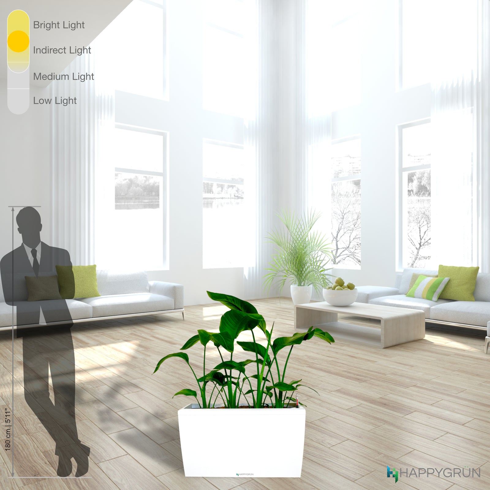 BIRD OF PARADISE | Miss Crane | CARARO 75 Premium