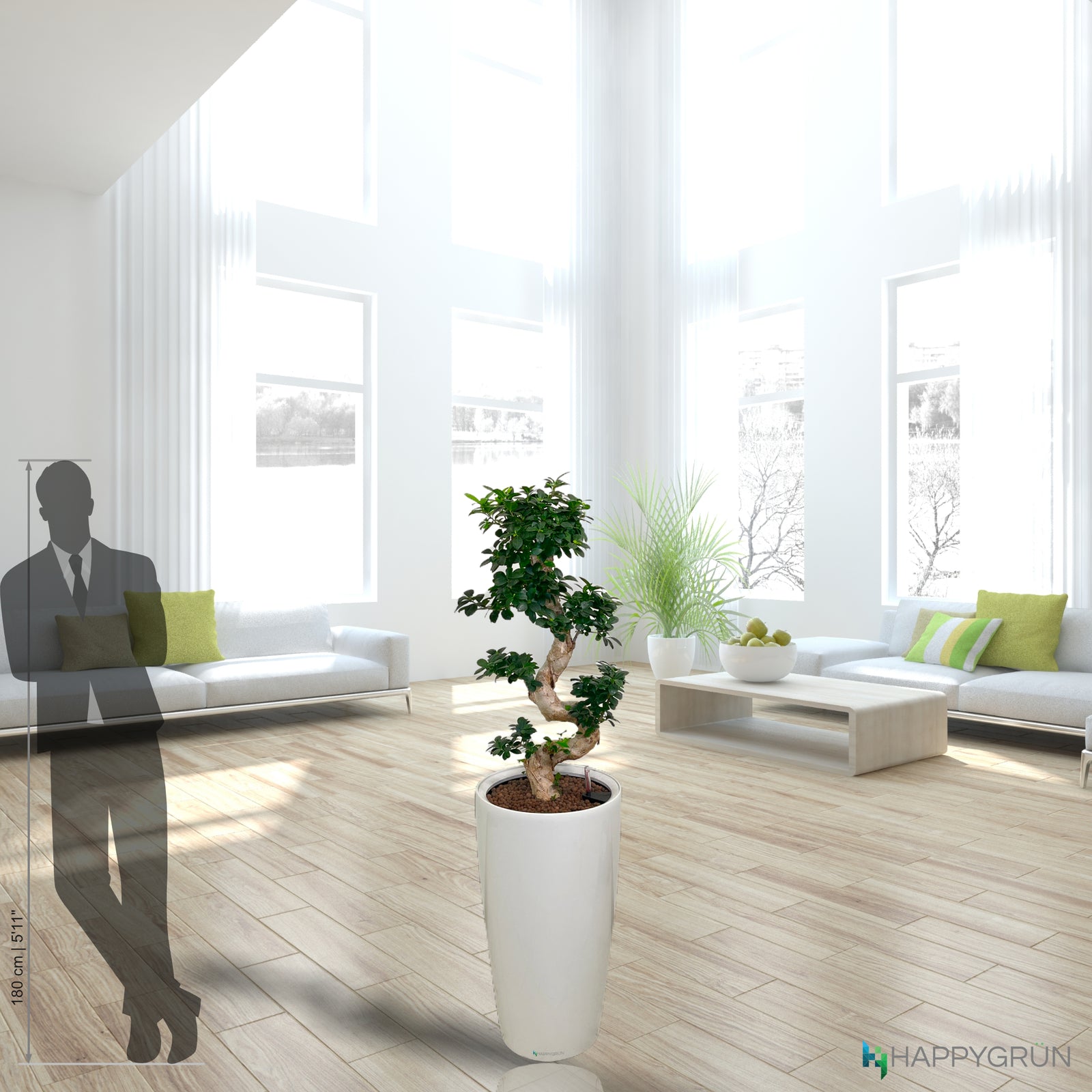 S-SHAPE BONSAI | Dr. Suzuki |  RONDO 40 Premium